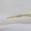 Gelbgold-Verlobungsring in 585er Legierung, fein verarbeitet und mit einer mattierten Oberfläche versehen. Die besondere Form des Rings als Möbiusband wird durch funkelnde Diamanten im Brillantschliff veredelt.